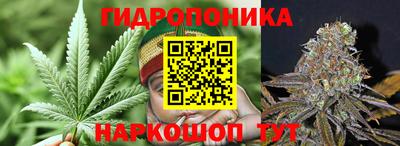 ешки Будённовск