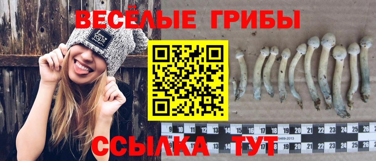 Рузаевка  Псилоцибиновые грибы Psilocybine cubensis  Галлюциногенные грибы Psilocybe  Вход с VPN 